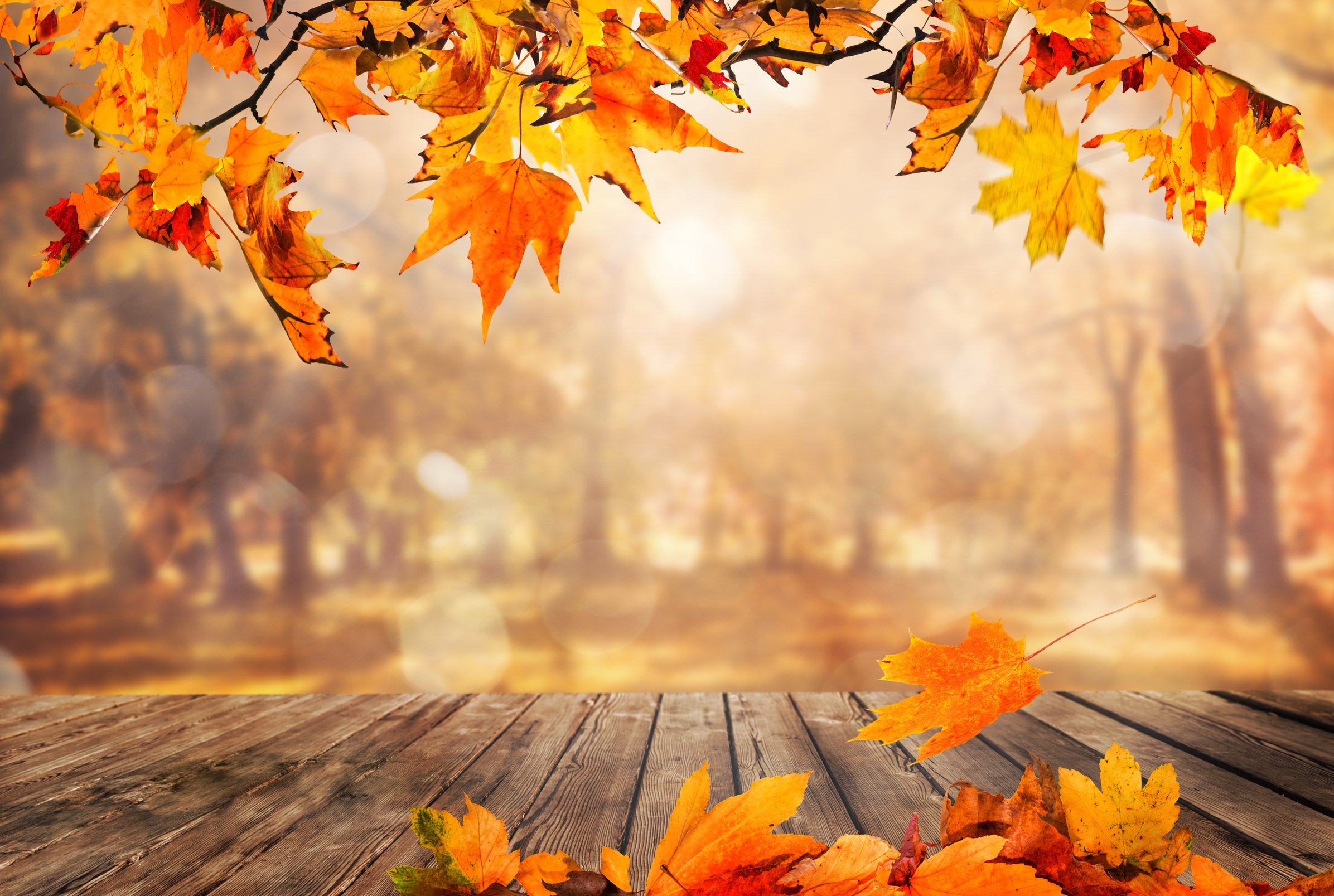 Wooden table with orange leaves autumn background